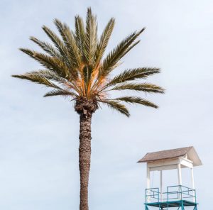 Location de voiture à Citium