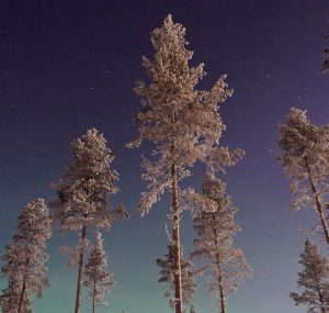 Location de voiture Aéroport de Gällivare