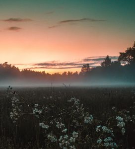 Location de voiture Aéroport de Turku