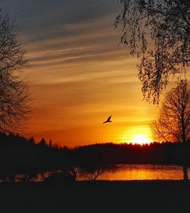 Location de voiture Aéroport de Vaasa